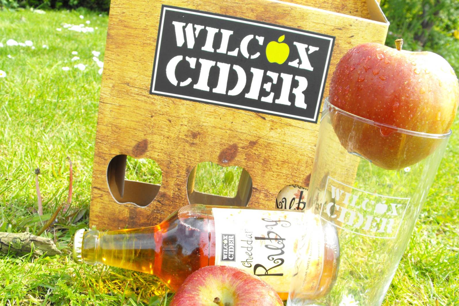cider case with bottles, apples in garden